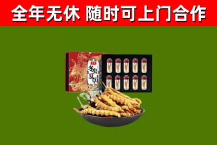 南江县回收冬虫夏草价格